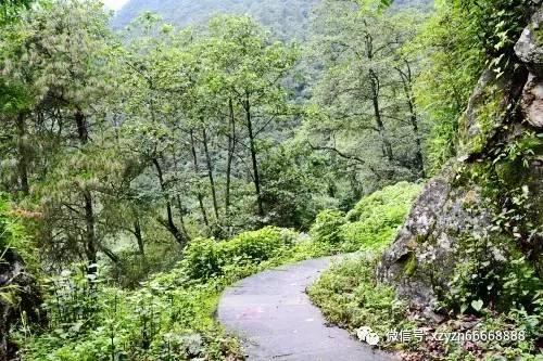 甜美奥莉吃甜点